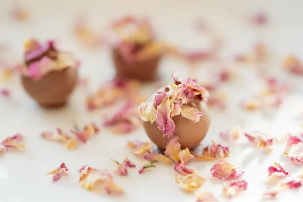 엠오오엔 카지노 안드로이드/iOS 앱